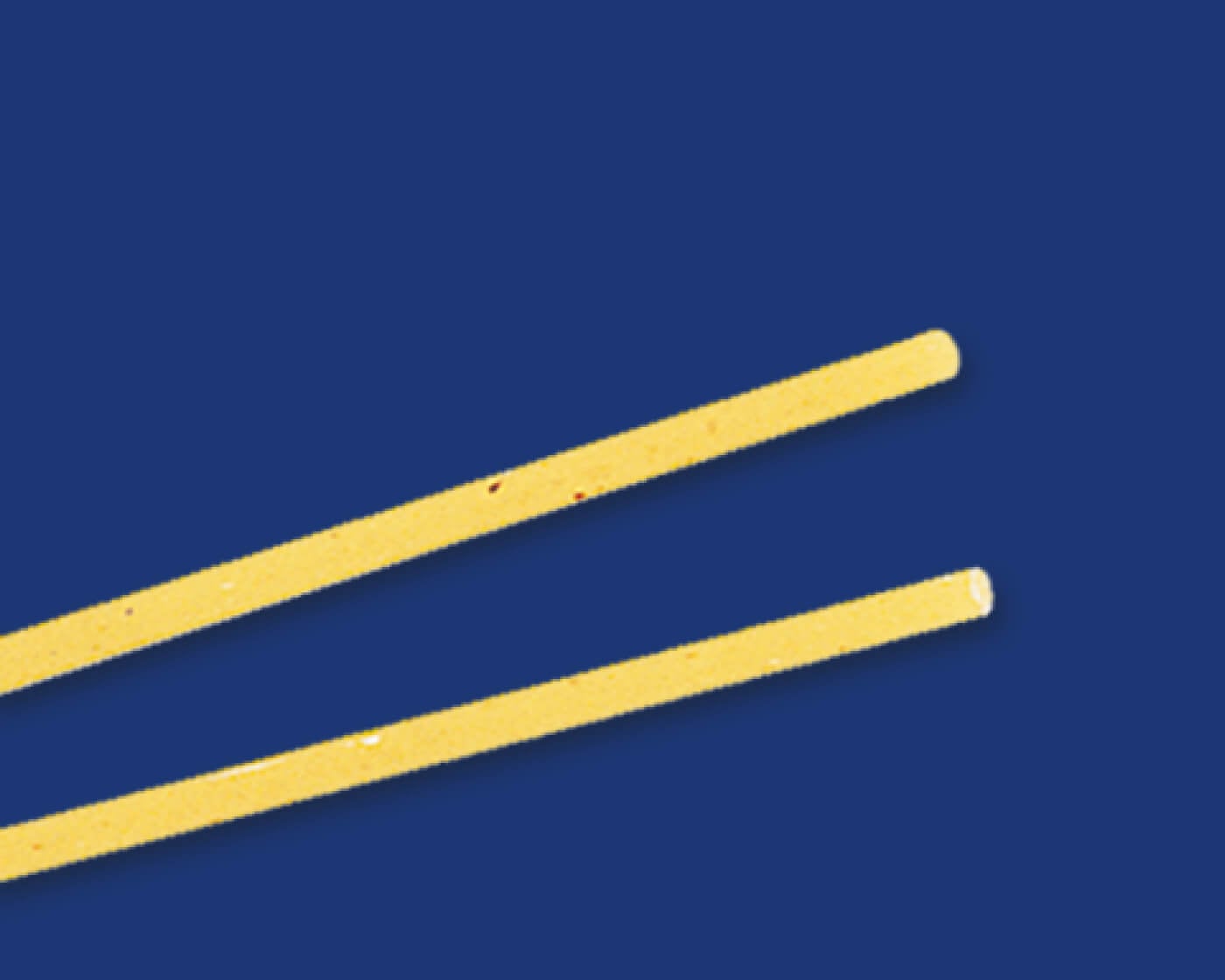 Thick Rectangular Spaghetti Barilla Classic Pasta Foodservice Horeca | Barilla for Professionals USA